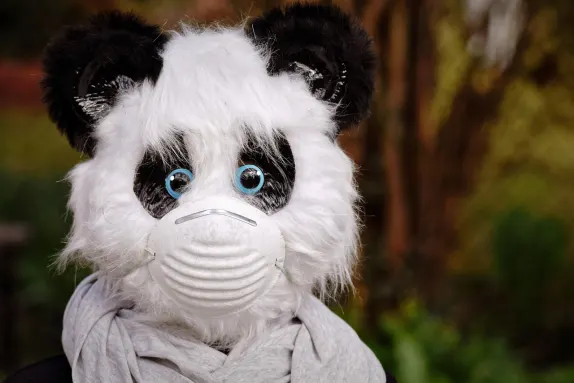 Καζίνο Βολκανο Βινγο Υποστηριξη